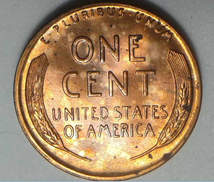 1955-S-Lincoln-Penny.-Grading-.